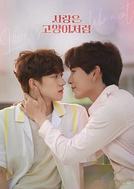 爱情像猫一样下载